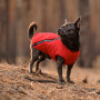Жилет Pet Fashion «E.Vest» для собак, розмір SM, червоний