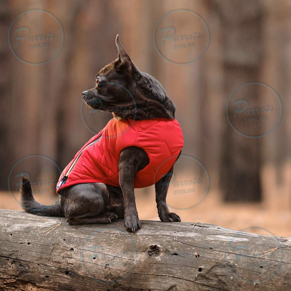 Жилет Pet Fashion «E.Vest» для собак, розмір SM, червоний