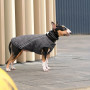 Жилет Pet Fashion «E.Vest» для собак, розмір XL, сірий