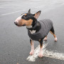 Жилет Pet Fashion «E.Vest» для собак, розмір L, сірий
