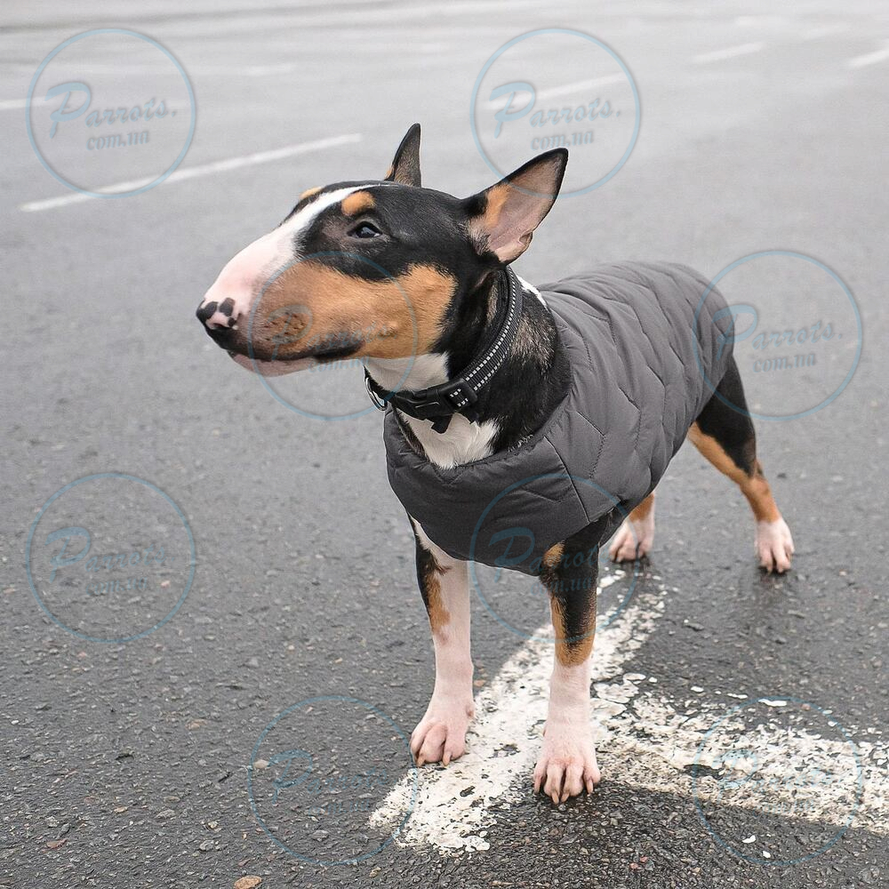 Жилет Pet Fashion «E.Vest» для собак, розмір M2, сірий