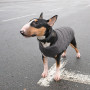 Жилет Pet Fashion «E.Vest» для собак, розмір M2, сірий
