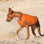 Жилет Pet Fashion «E.Vest» для собак, розмір XL, помаранчевий