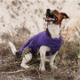 Жилет Pet Fashion «E.Vest» для собак, розмір SM, фіолетовий
