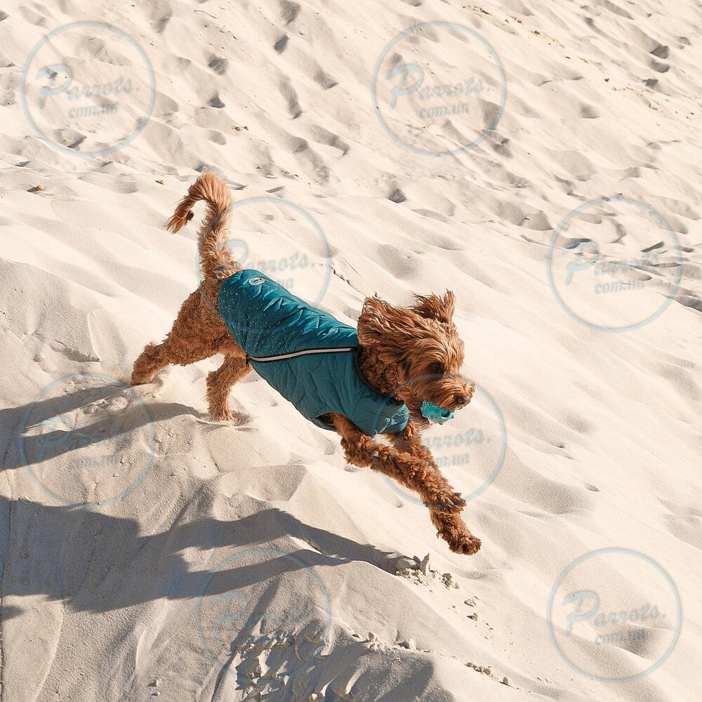 Жилет Pet Fashion «E.Vest» для собак, розмір XL, морська хвиля
