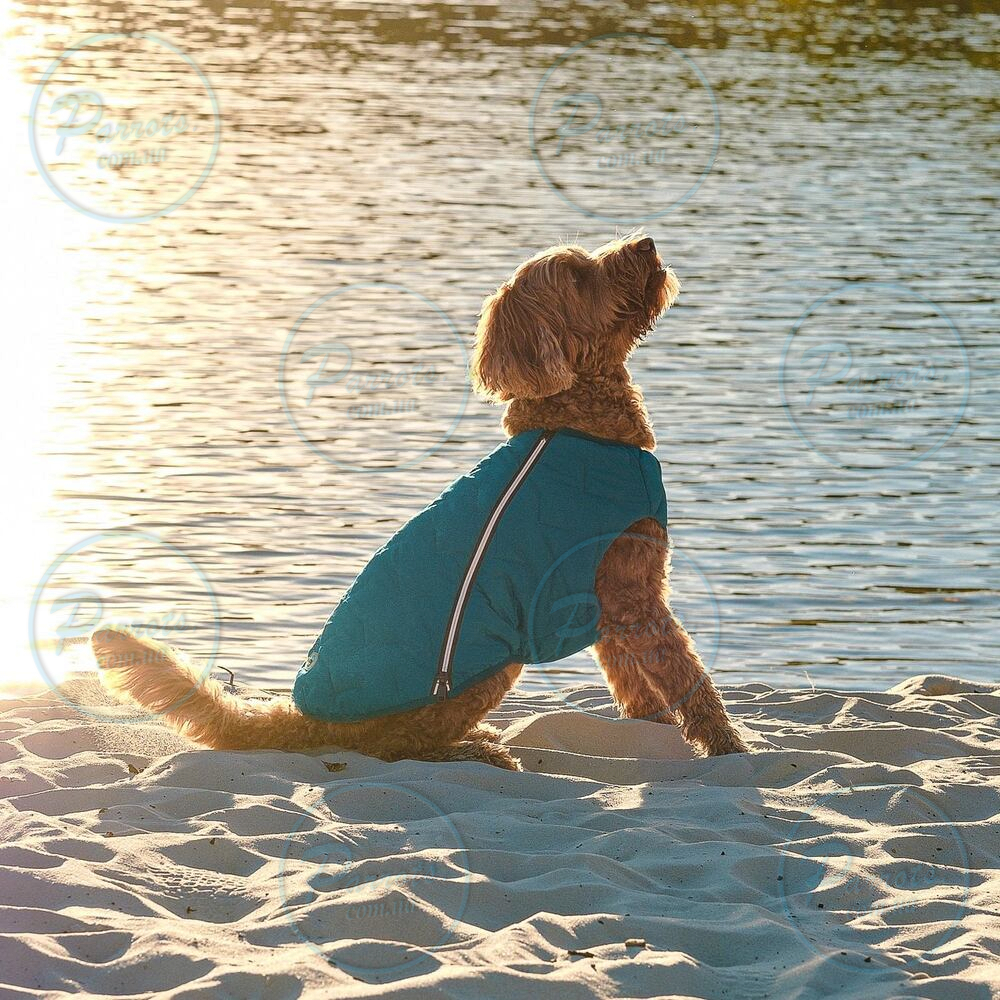 Жилет Pet Fashion «E.Vest» для собак, розмір M2, морська хвиля