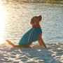 Жилет Pet Fashion «E.Vest» для собак, розмір S, морська хвиля