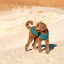 Жилет Pet Fashion «E.Vest» для собак, размер XS, морская волна