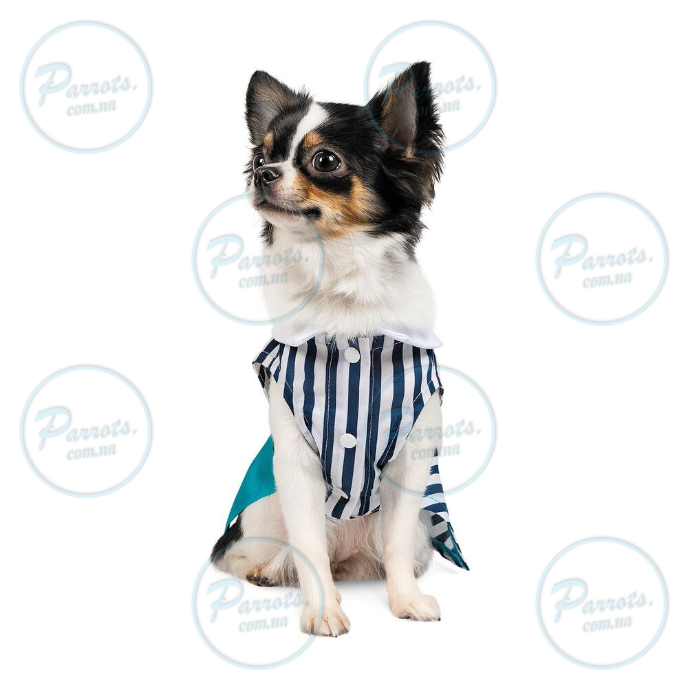 Сукня Pet Fashion «Band» для дівчаток, розмір XS, в морському стилі