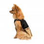 Сукня Pet Fashion «Chic» для дівчаток, розмір M, чорна