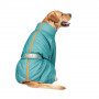 Комбінезон Pet Fashion «Cold» для такс, розмір M, бірюза