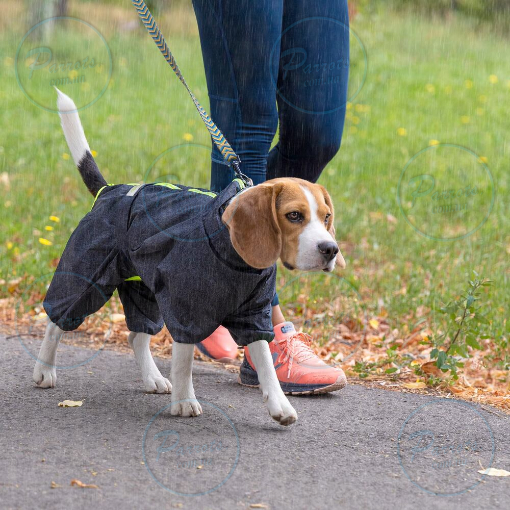 Дощовик Pet Fashion «Rain» для собак, розмір M2, сірий