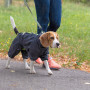 Дощовик Pet Fashion «Rain» для собак, розмір M2, сірий