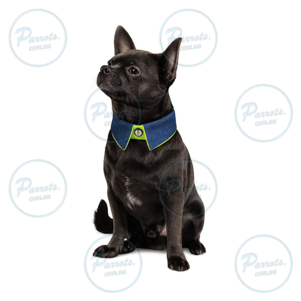 Комірець Pet Fashion «Bright» для собак, розмір S-М, синій