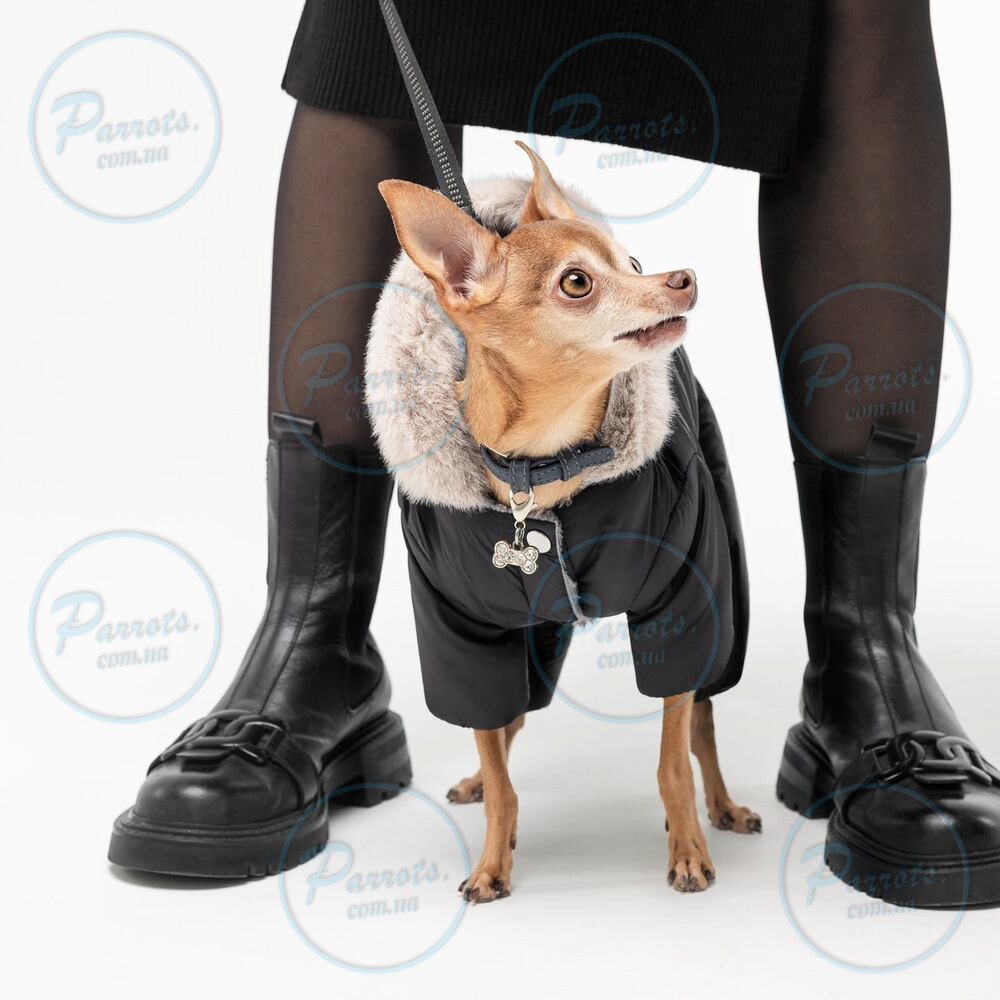 Костюм Pet Fashion «Black» для собак, розмір S, чорний