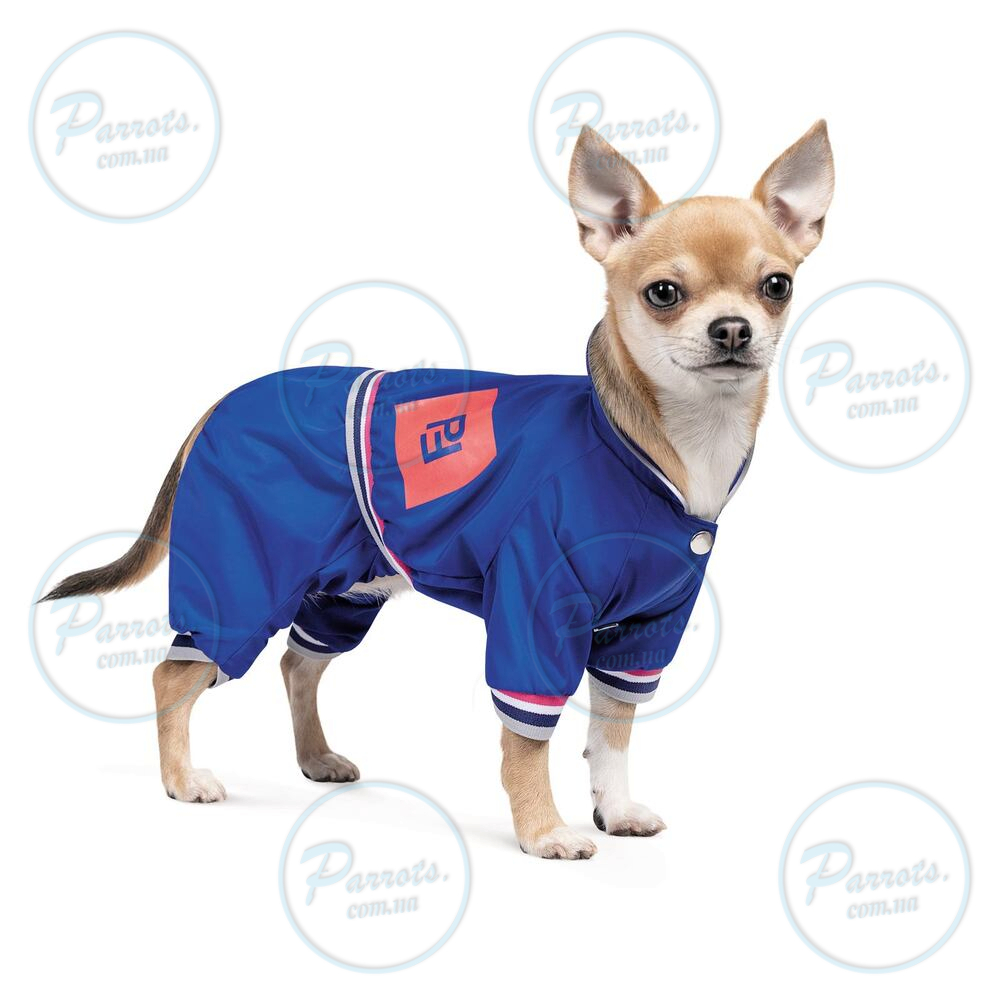Дощовик Pet Fashion «Silver» для собак, розмір XS, синій