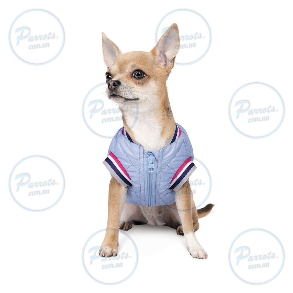 Бомбер Pet Fashion «Spike» для собак, розмір XS2, блакитний