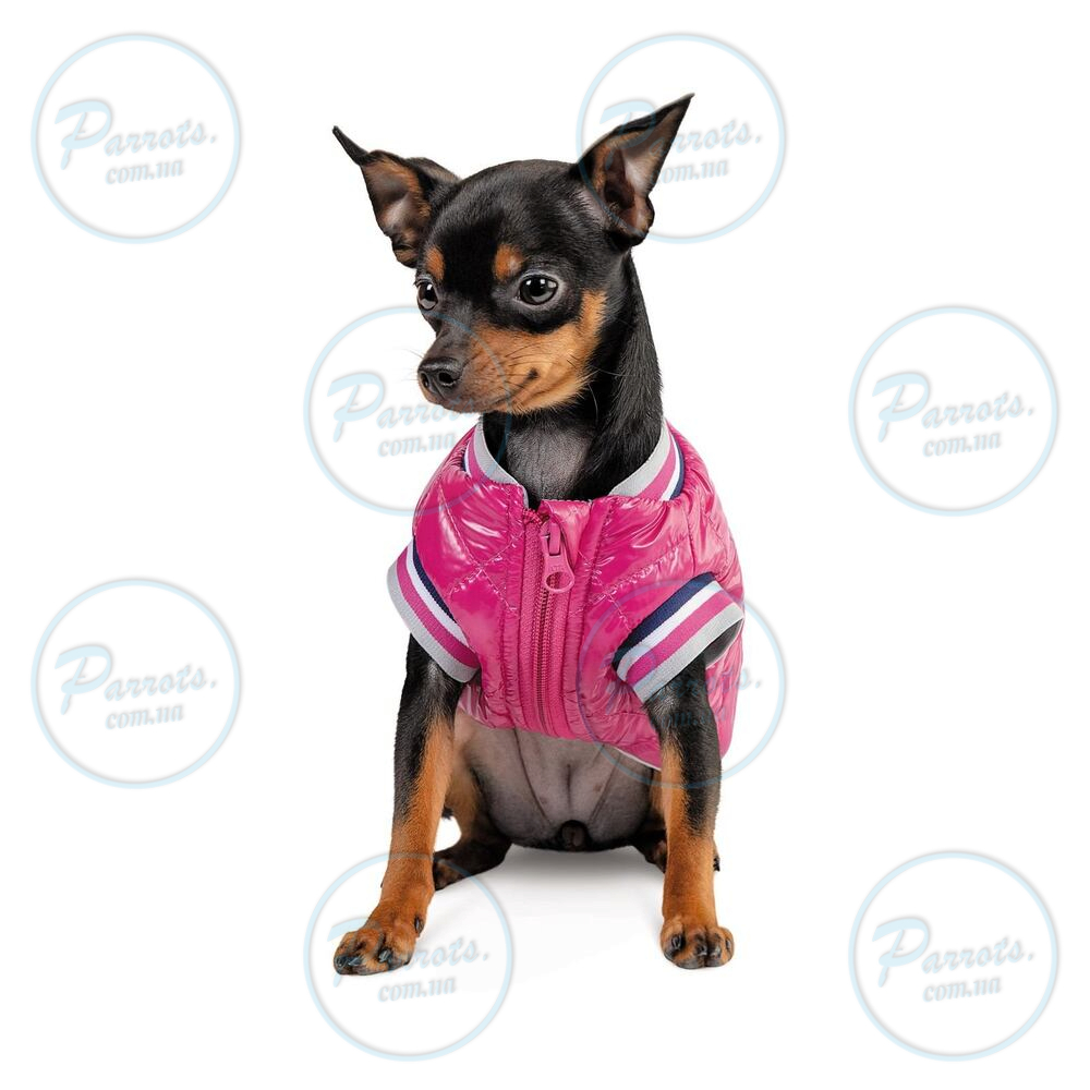 Бомбер Pet Fashion «Grace» для собак, розмір L, рожевий