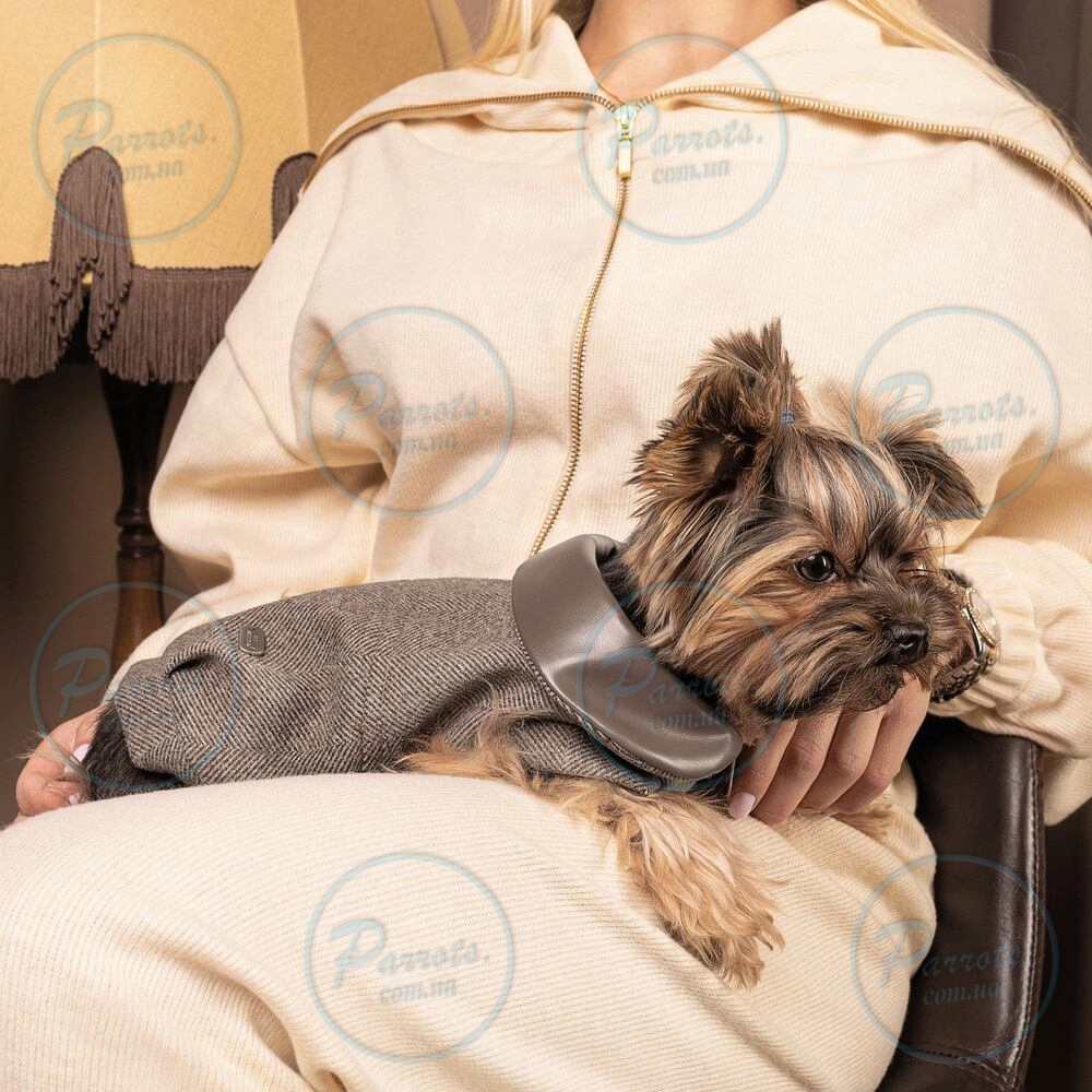 Жакет Pet Fashion «Harry» для собак, розмір XS2, коричневий
