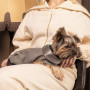 Жакет Pet Fashion «Harry» для собак, розмір XS, коричневий
