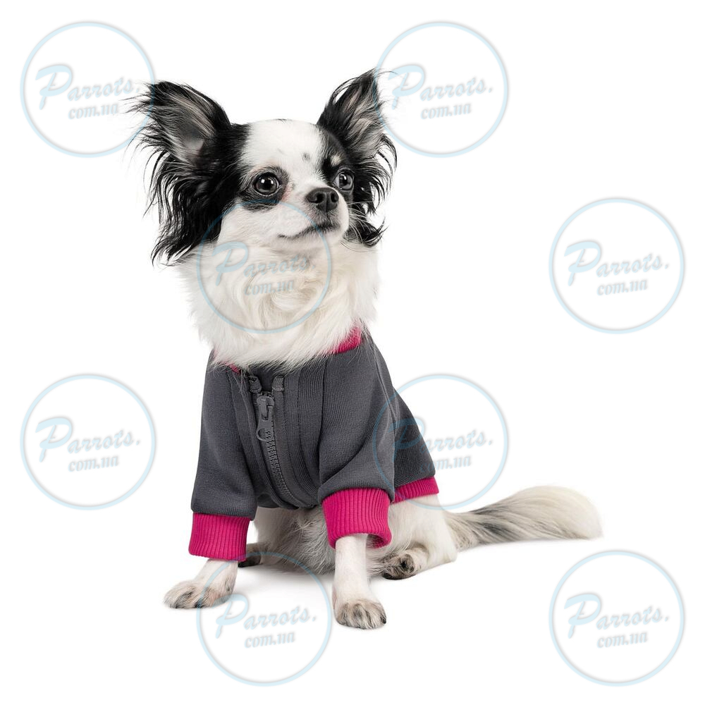 Толстовка Pet Fashion «Bim» для собак, розмір М, сіра