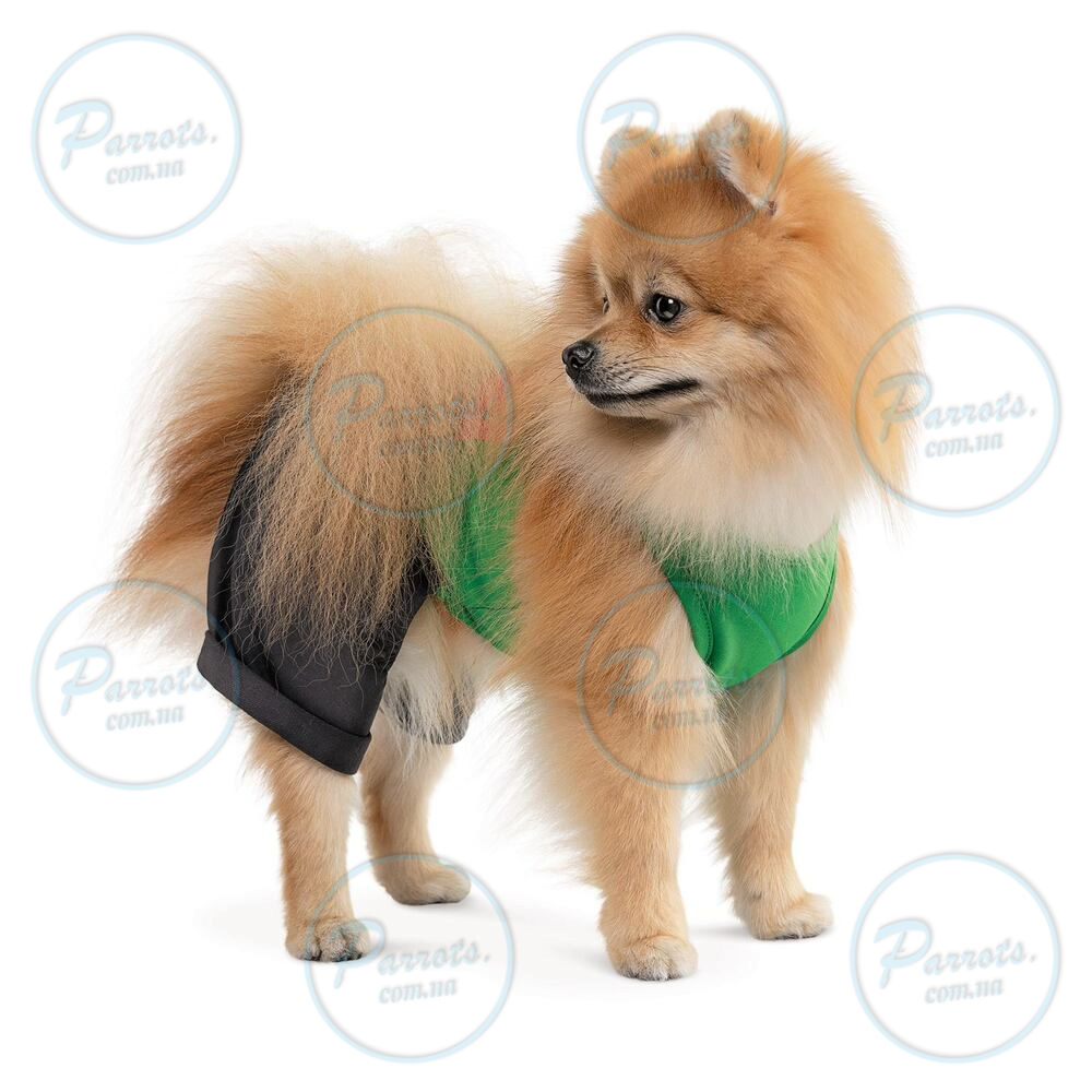 Костюм Pet Fashion «Aleks» для собак, розмір XS, зелений