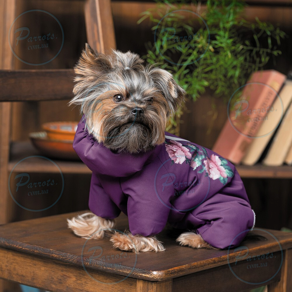 Костюм Pet Fashion Lola для дівчаток, розмір XS, бузковий