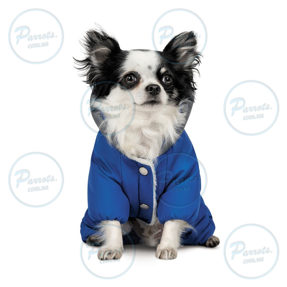 Костюм Pet Fashion Zhan для собак, розмір S, блакитний