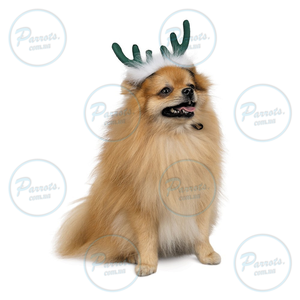 Аксесуар-ріжки Pet Fashion "Deer" для собак, розмір M-L, зелені