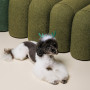 Аксесуар-ріжки Pet Fashion "Deer" для собак, розмір M-L, зелені