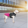 Попона Pet Fashion «Roy» для собак, розмір 2XL, малиново-сірий