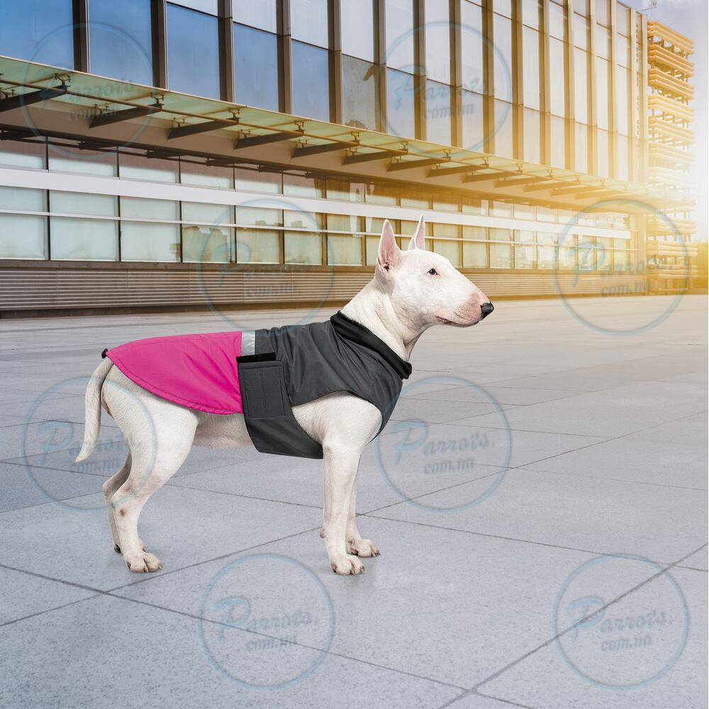 Попона Pet Fashion «Roy» для собак, розмір 7XL, малиново-сірий