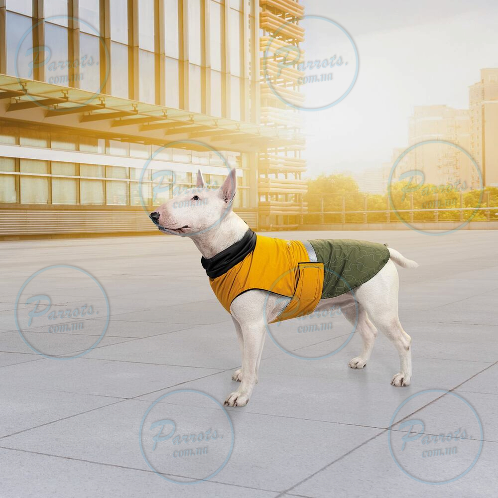 Попона Pet Fashion «Roy» для собак, розмір 7XL, хакі-гірчиця