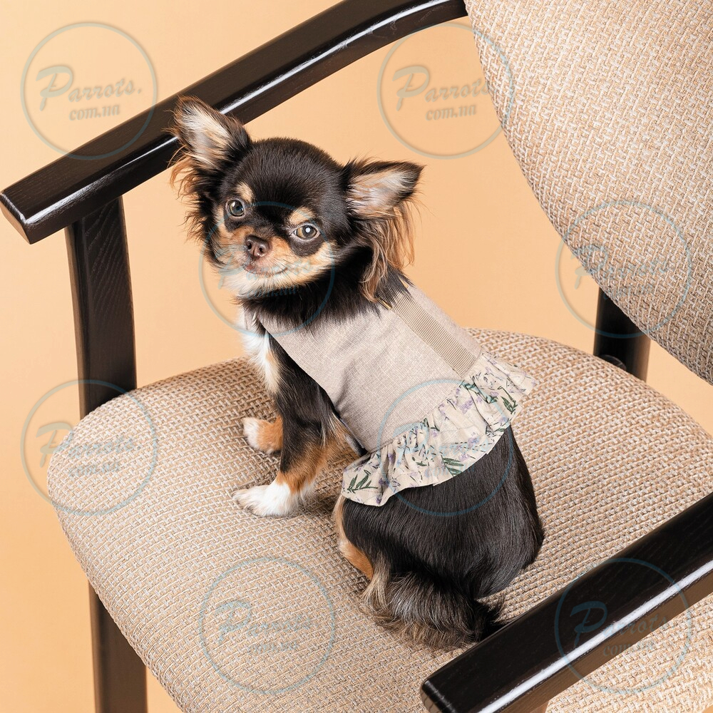 Шлея Pet Fashion для дівчинки Nika XS2