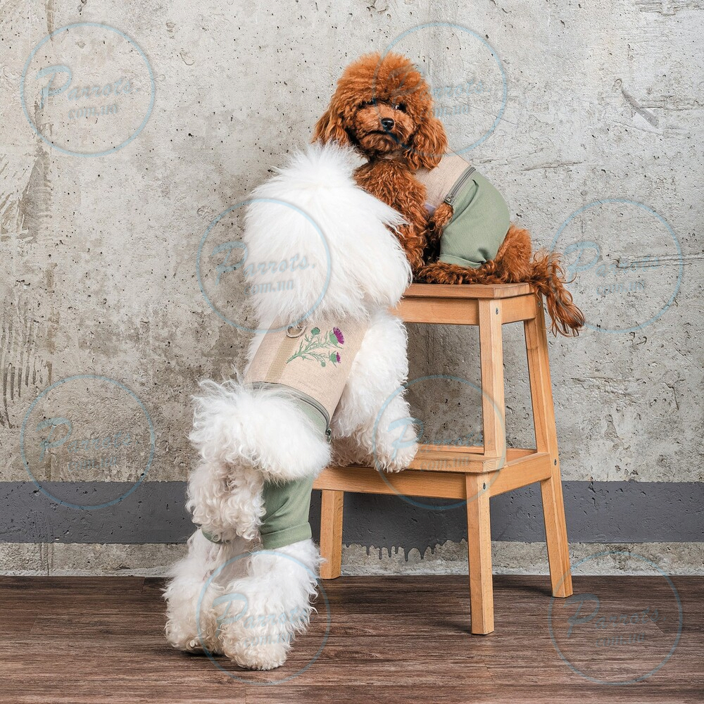 Шлея-костюм Pet Fashion для собак Patrik світло-сіра, розмір XS