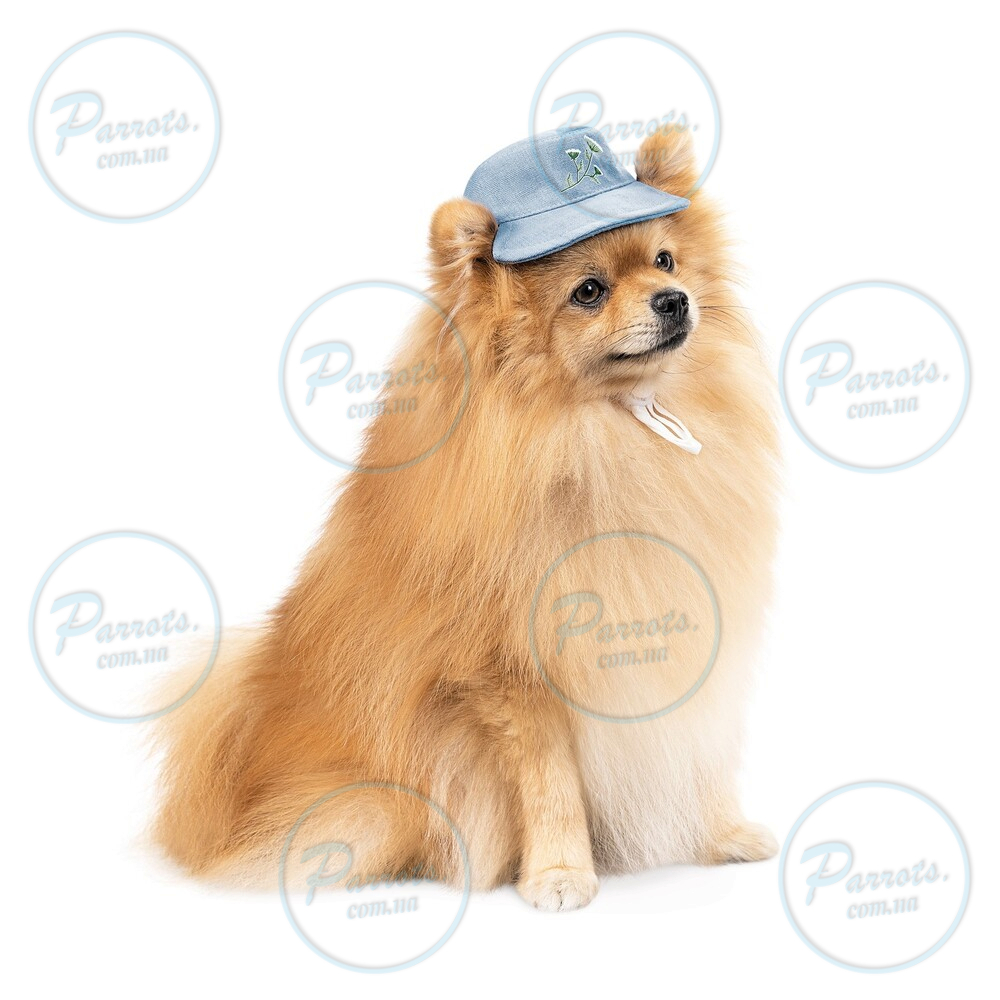Панама Pet Fashion для собак Blue M з квітковим принтом