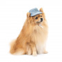 Панама Pet Fashion для собак Blue XS з квітковим принтом