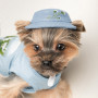 Панама Pet Fashion для собак Blue XS з квітковим принтом