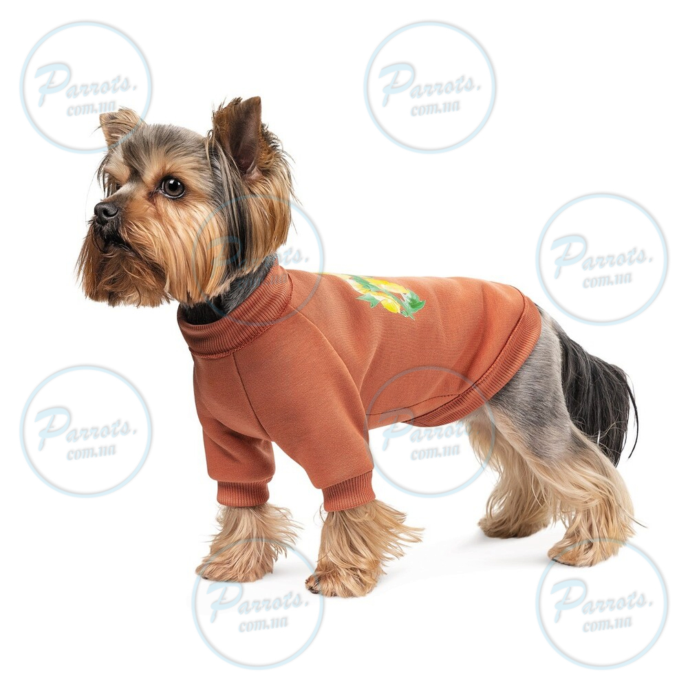 Толстовка Pet Fashion Miley для собак розмір M