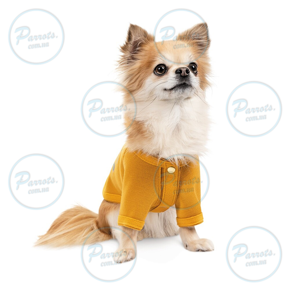 Кардиган Pet Fashion Denis для собак розмір S жовтий