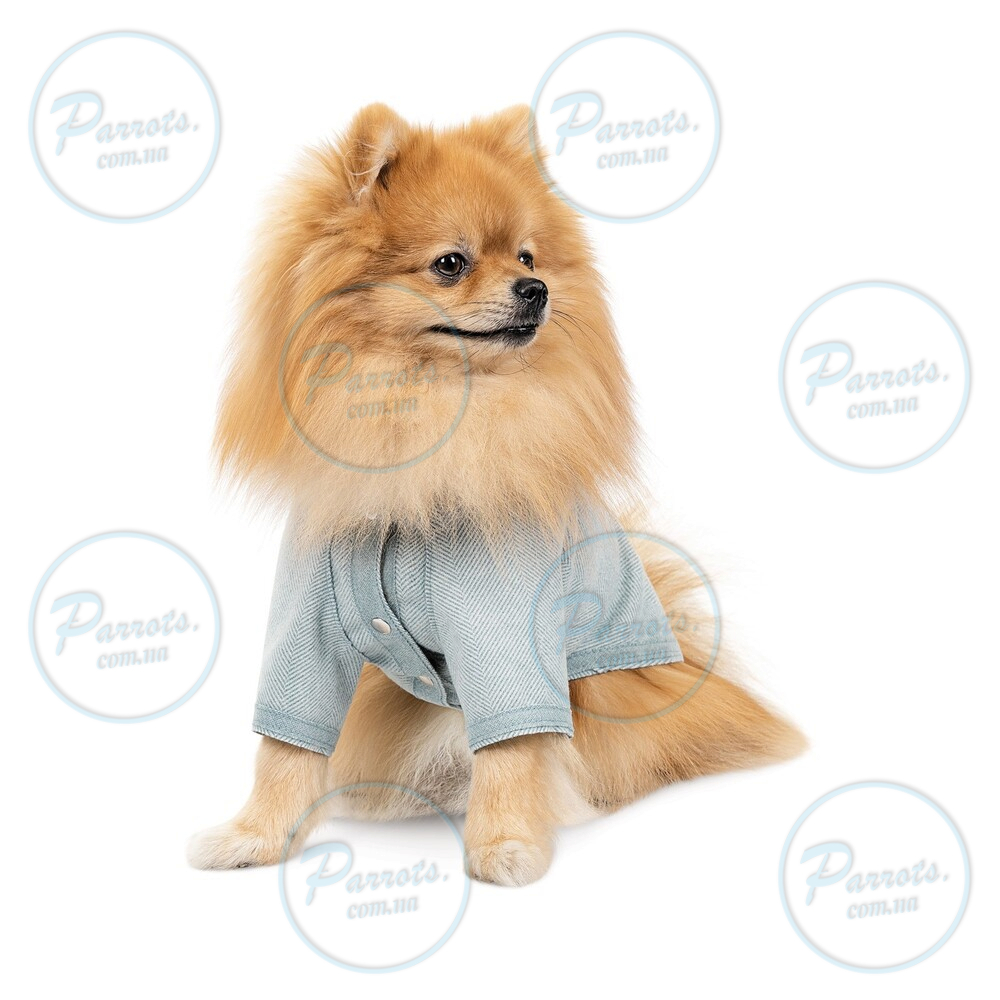 Кардиган Pet Fashion Denis для собак розмір XS м’ятний