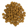 Сухий корм Profine Adult для дорослих собак всіх порід, з куркою та картоплею, 15 кг