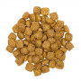 Сухий корм Profine Adult для дорослих собак всіх порід, з ягнятиною та картоплею, 15 кг