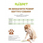 Ботинки Ruispet для малых пород собак, демисезонные, водонепроницаемые, 4 шт./упак. синие, 3,5x2,7 см, №1