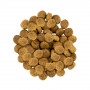 Сухий корм Savory Medium для собак середніх порід, зі свіжим ягням та індичкою, 1 кг