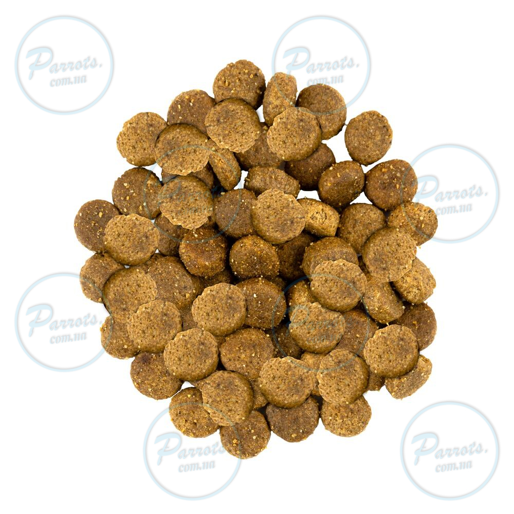 Сухой корм Savory Medium для собак средних пород, со свежим ягненком и индейкой, 3 кг