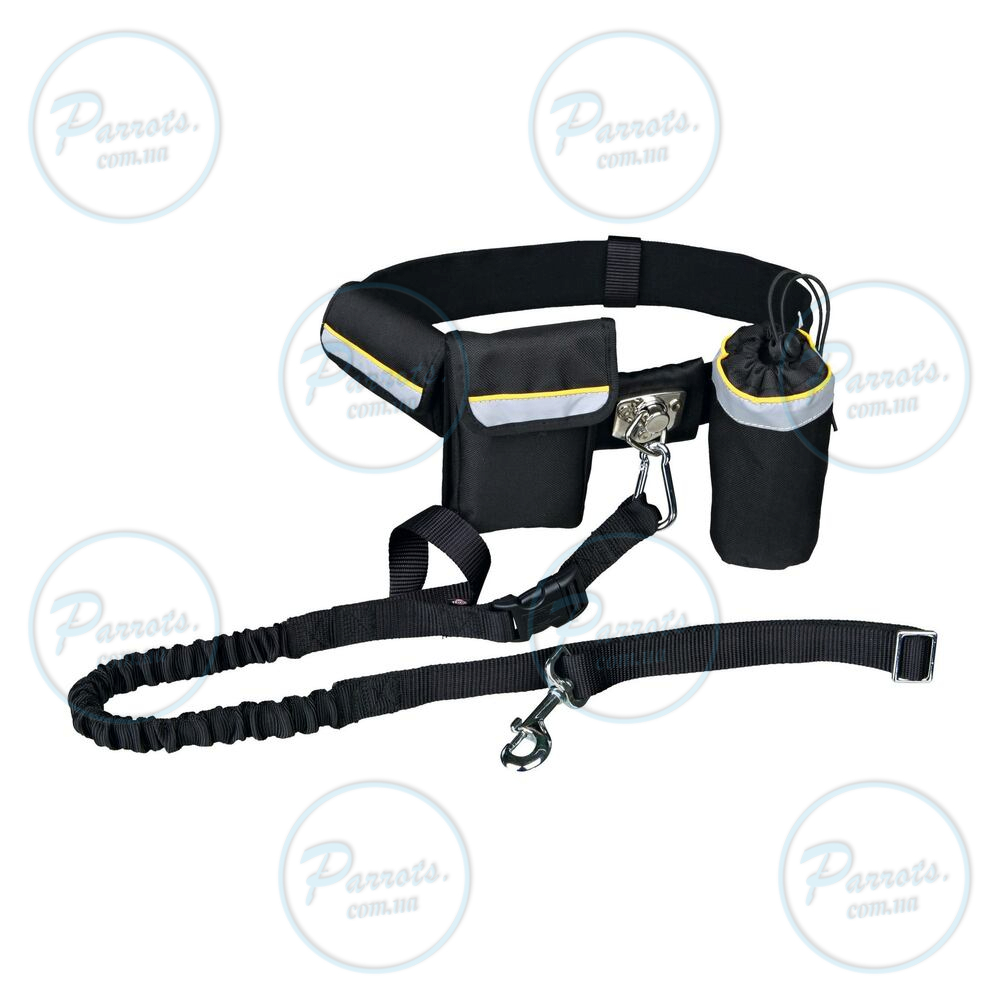 Поводок Trixie Hands Free для собак, ремень (60-120 см/40 мм), поводок (1-1.35 м/25 мм), черный