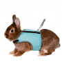 Шлейка с поводком Trixie Soft для кролика, нейлон, 25-32 см (цвета в ассортименте)