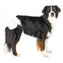 Подгузники Trixie для собак, XL 40-58 см, 12 шт.