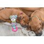 Іграшка Trixie Junior Ведмідь для собак, з кільцем зі звуком, 23 см (текстиль/плюш)